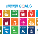 UN SDG Poster